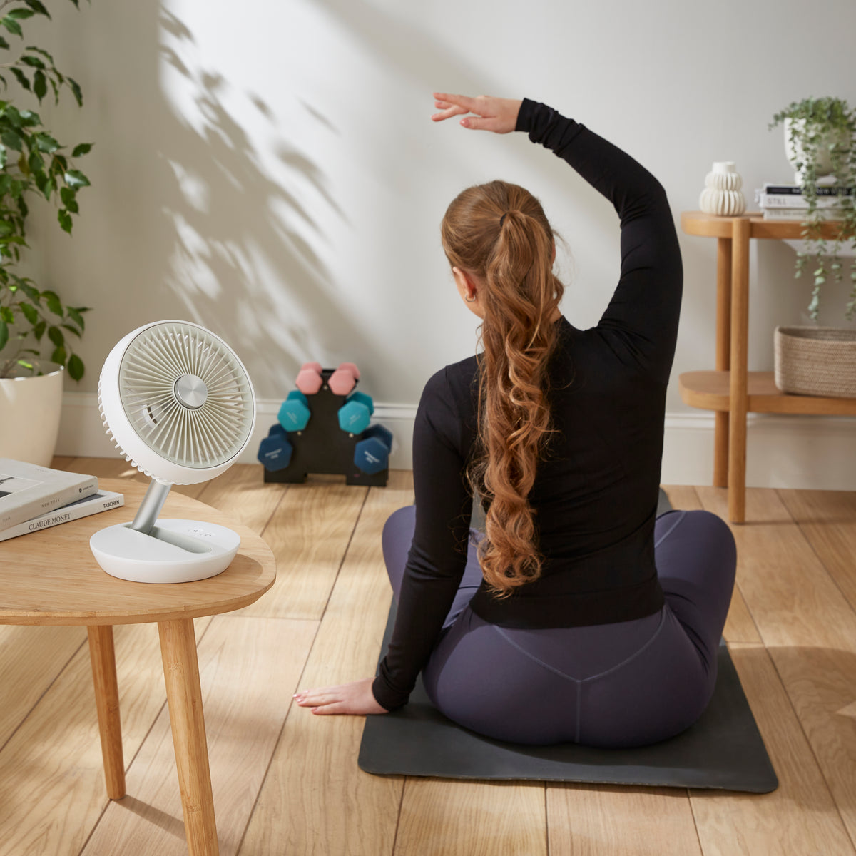 BreezePod Cordless Desk Fan